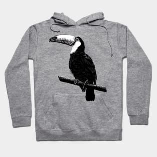 Toco toucan illustration Hoodie